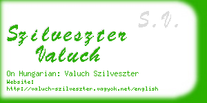 szilveszter valuch business card